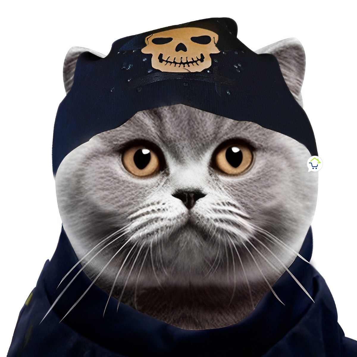 Disfraz Para Mascotas De Pirata GD01PIR